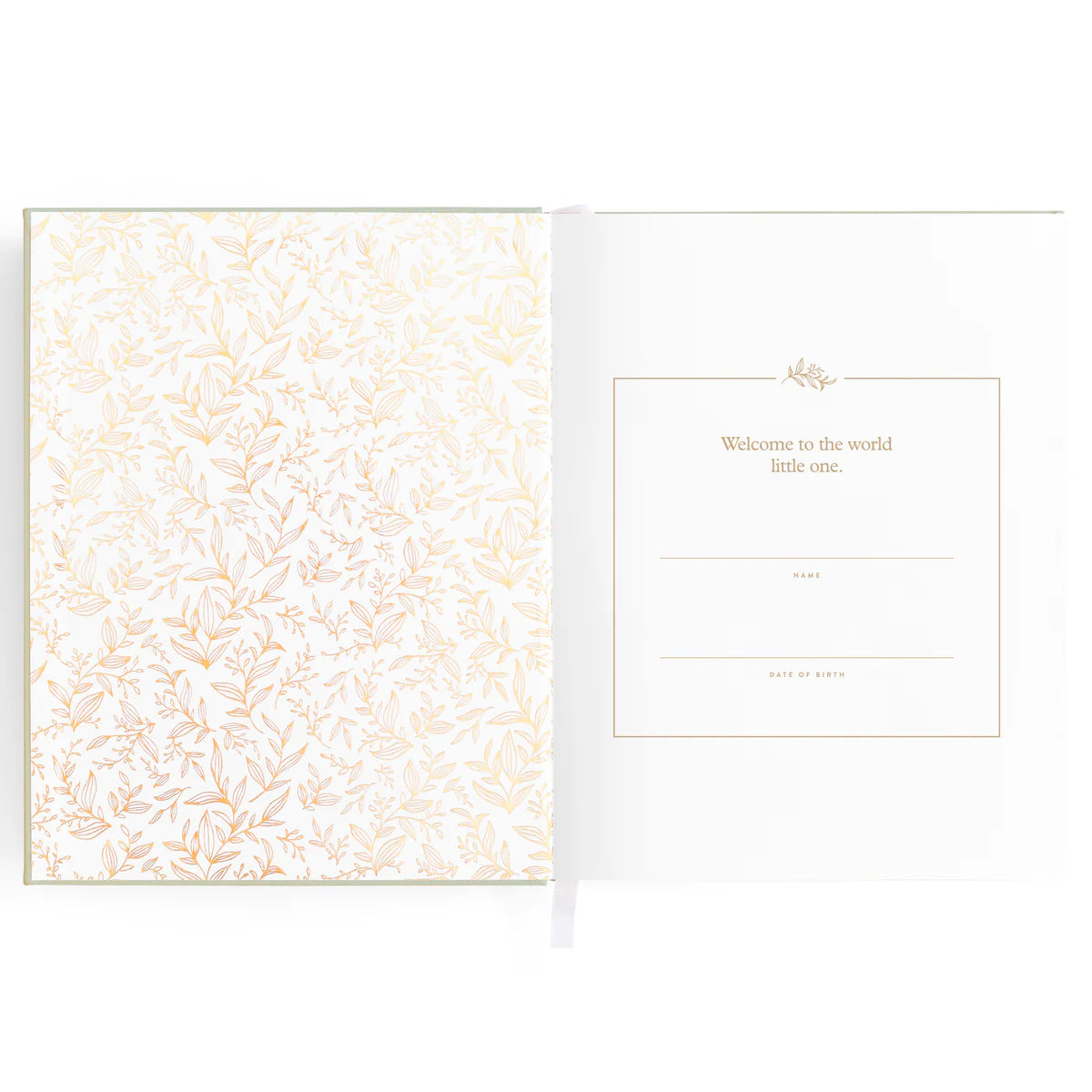 Baby Book Blue Duck
