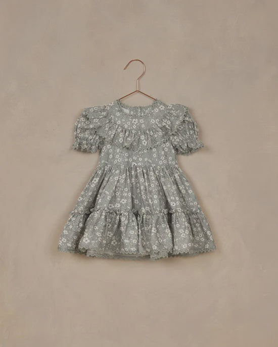 Eva Dress Sky Floral