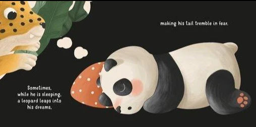 Sassi board book - step by step - Bye to my Dummy