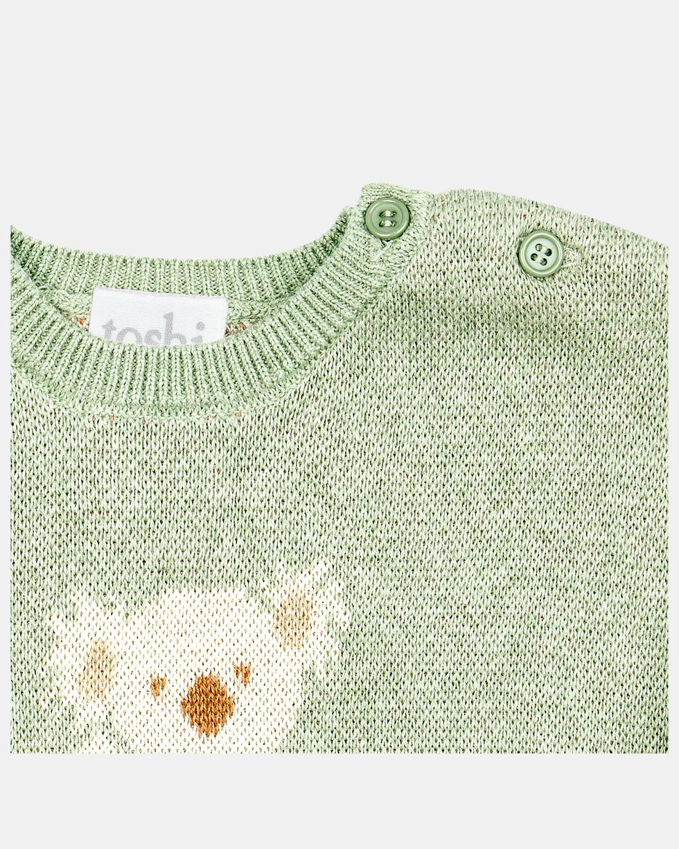 Organic pullover Storytime - koala