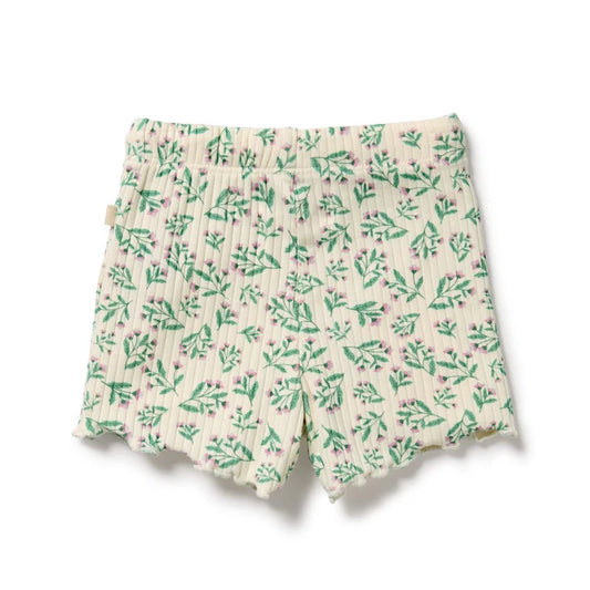 Periwinkle Organic Short