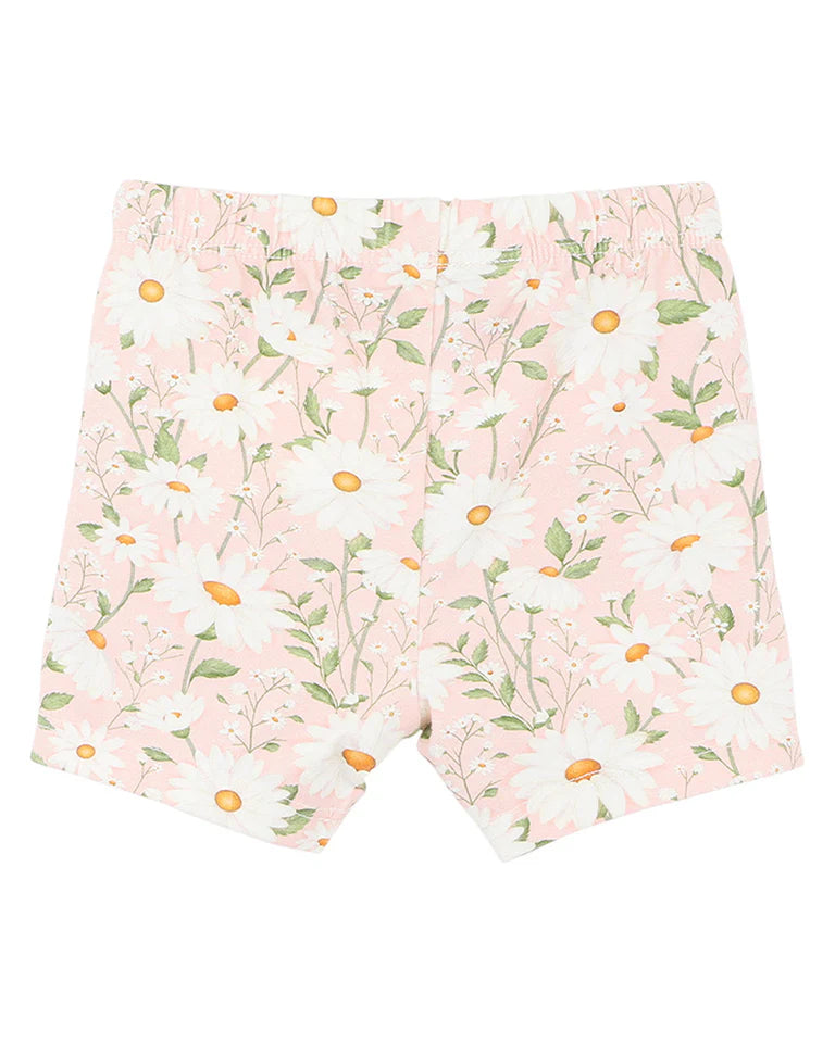 TESS BIKE SHORTS