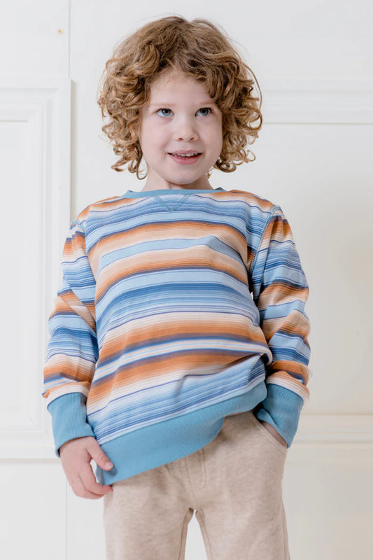 Boys Ombre Stripe Fleece Sweat