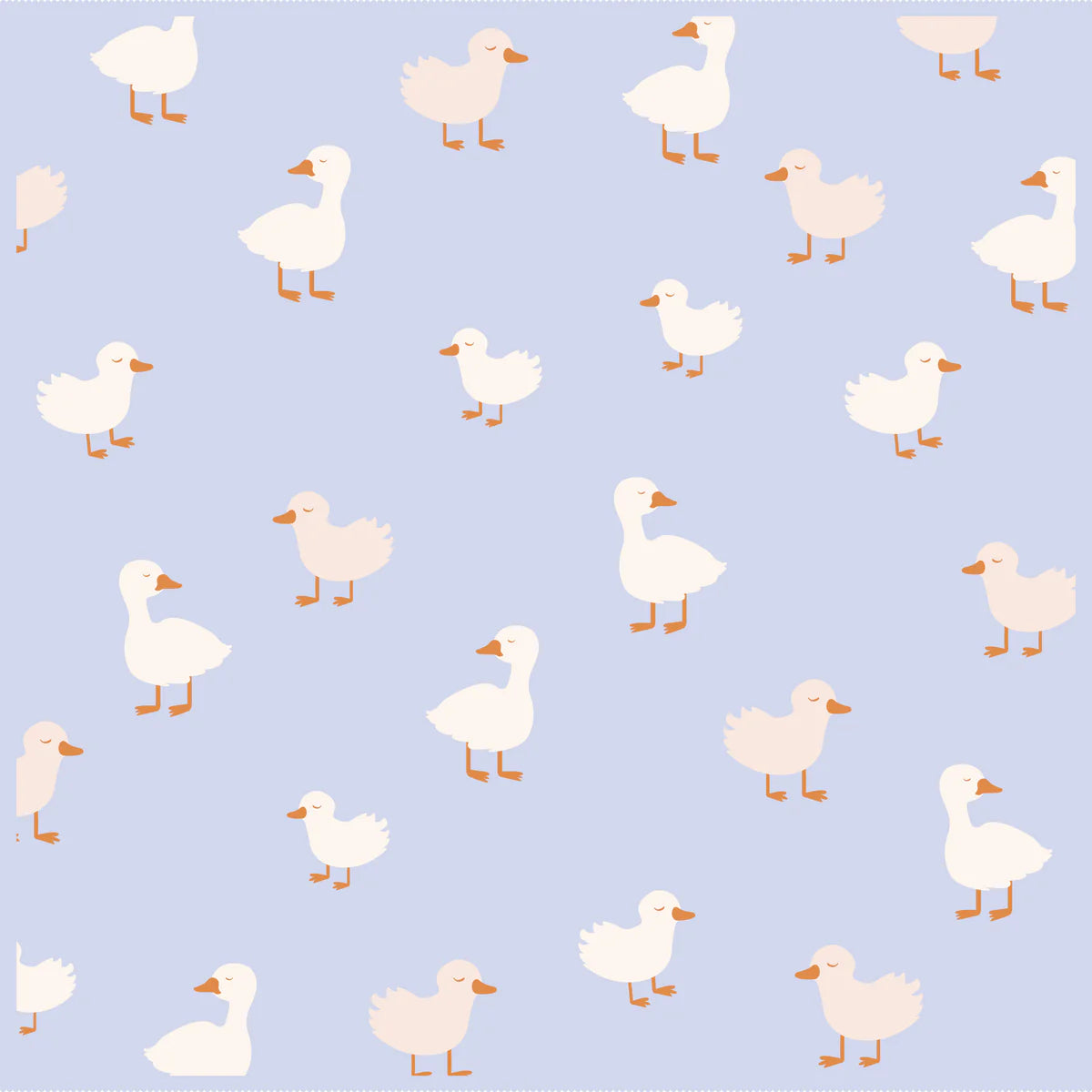 Blue Duck Blanket