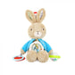 PETER RABBIT ACTIVITY TOY
