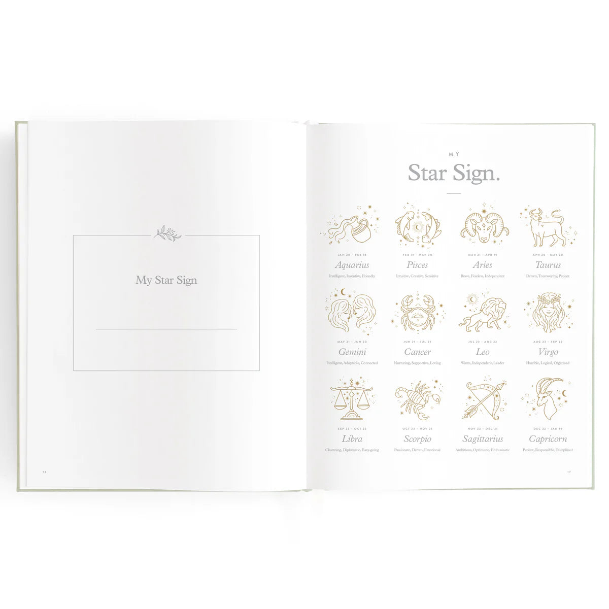 Baby Book Blue Duck