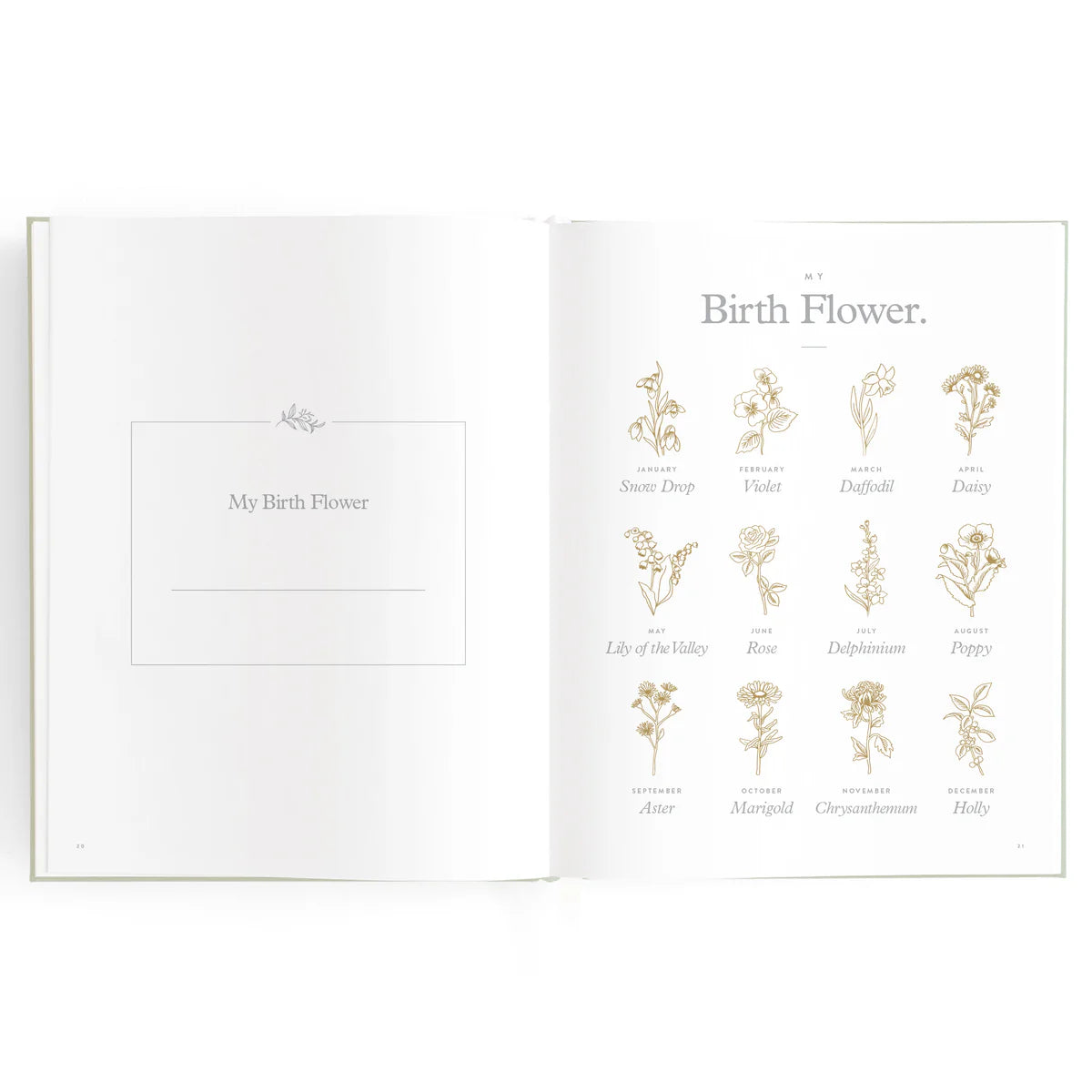 Baby Book Blue Duck