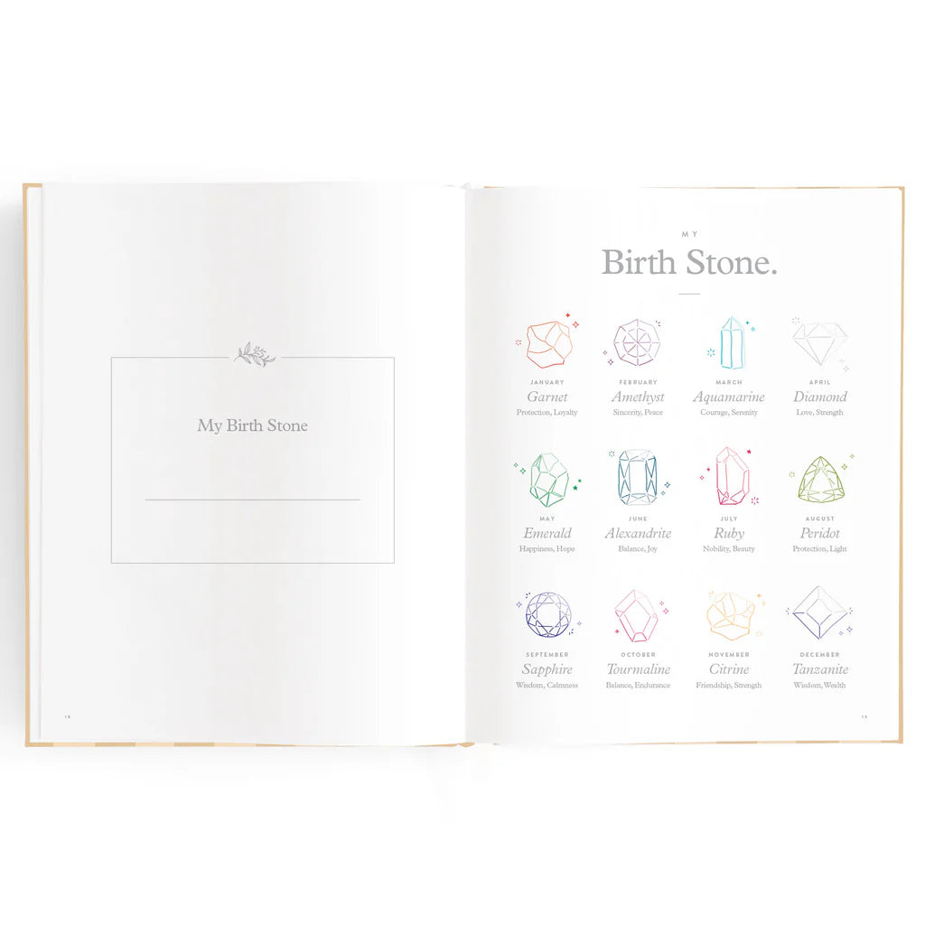 Baby Book Coffee Stripe