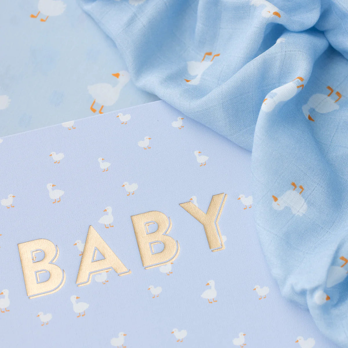 Baby Book Blue Duck