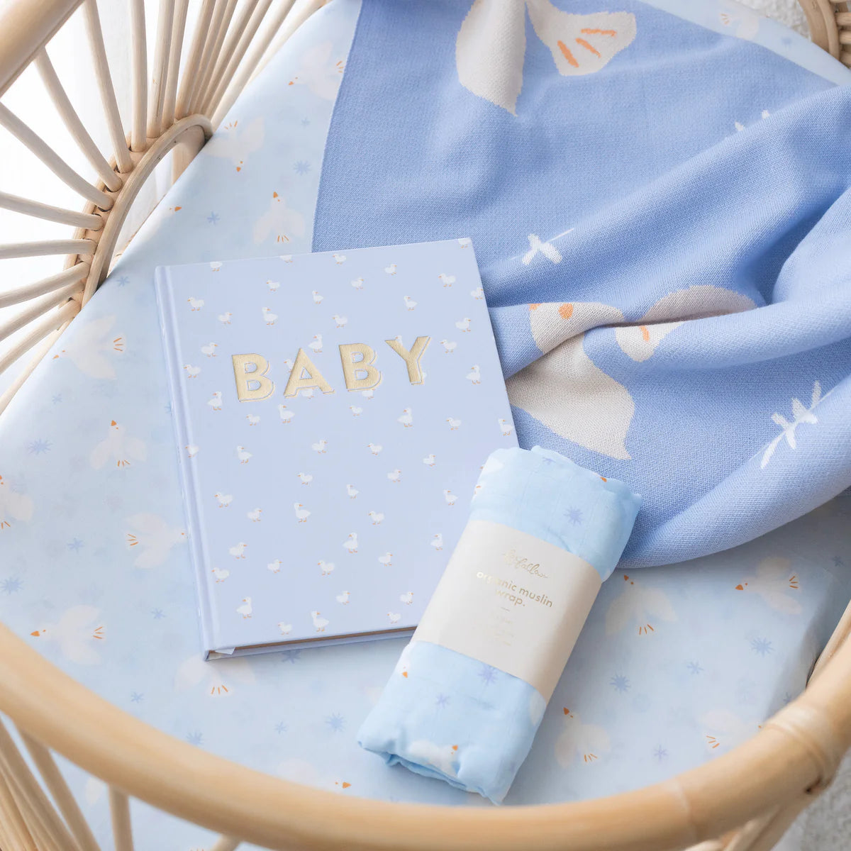 Baby Book Blue Duck