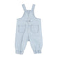 WINTER VACAY STRIPE DENIM OVERALLS