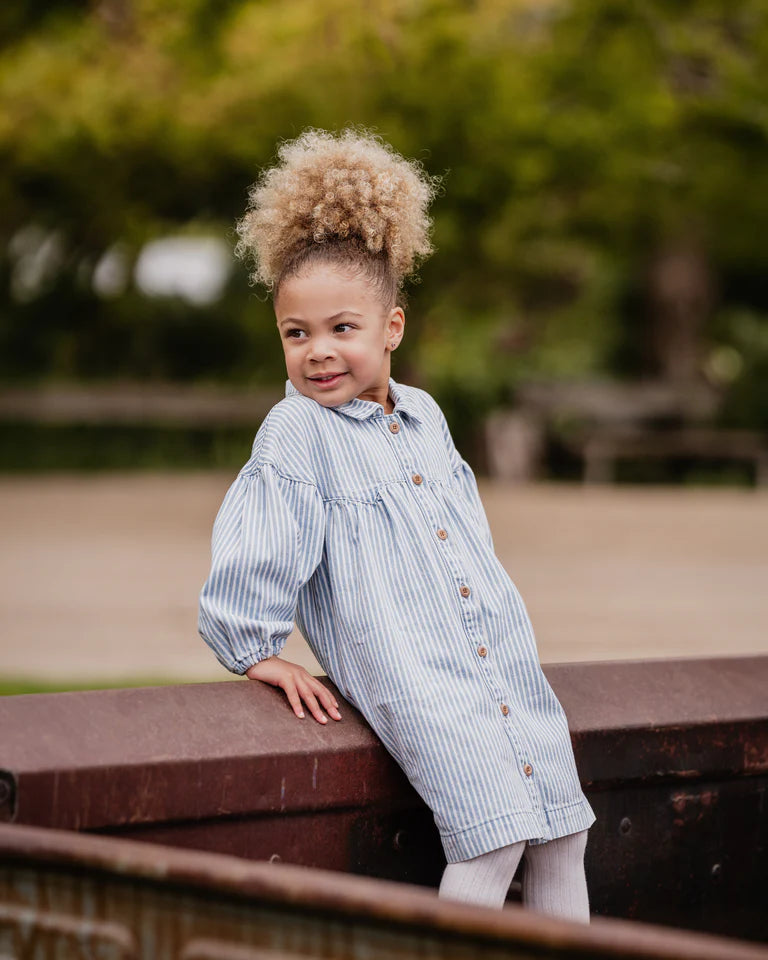 WINTER VACAY STRIPE DENIM DRESS 3-7 YRS