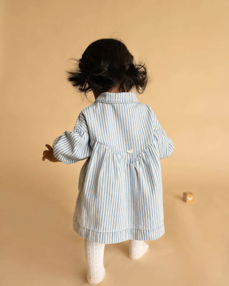 WINTER VACAY STRIPE DENIM DRESS