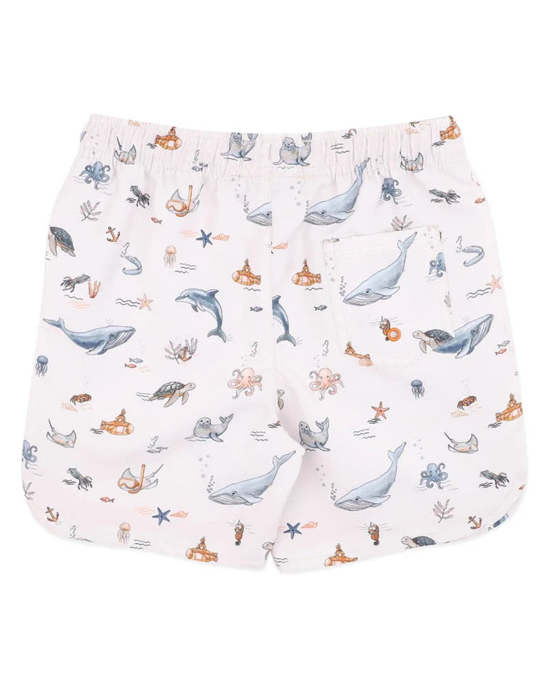 HARVEY BOARDSHORTS 1-7Y
