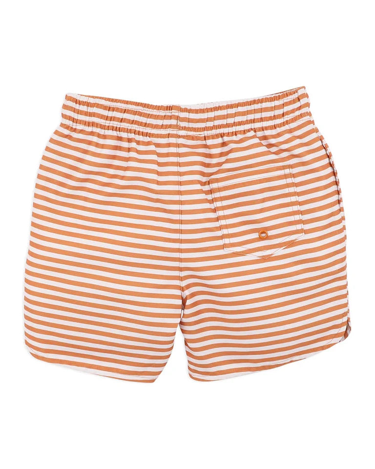 HARVEY STRIPE BOARDSHORTS 1-7Y