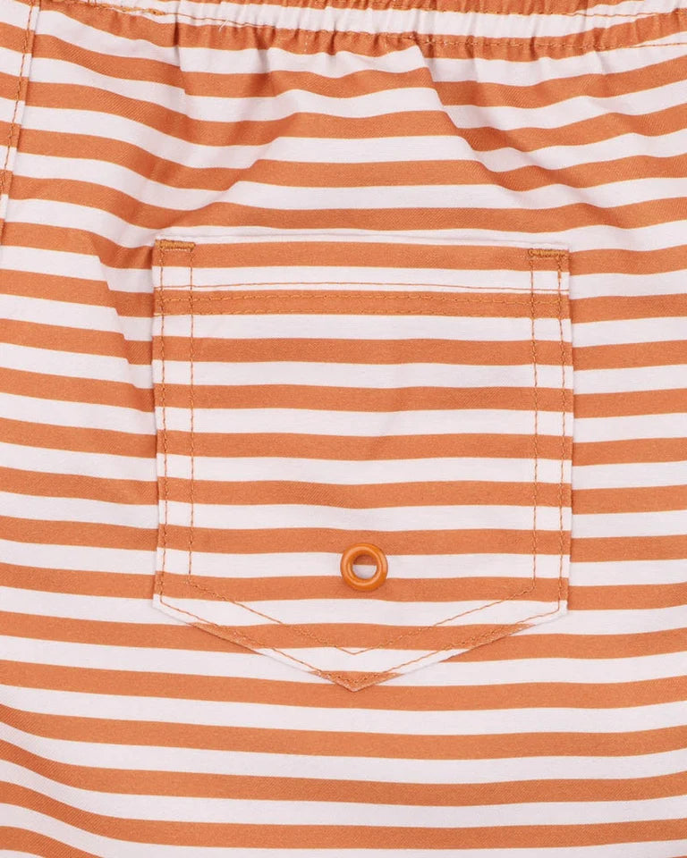 HARVEY STRIPE BOARDSHORTS 1-7Y
