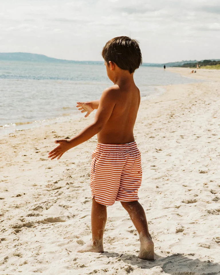 HARVEY STRIPE BOARDSHORTS 1-7Y