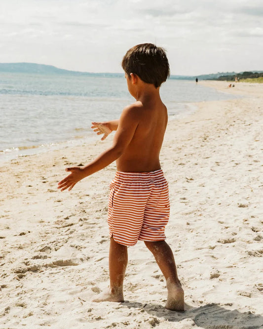 HARVEY STRIPE BOARDSHORTS 1-7Y
