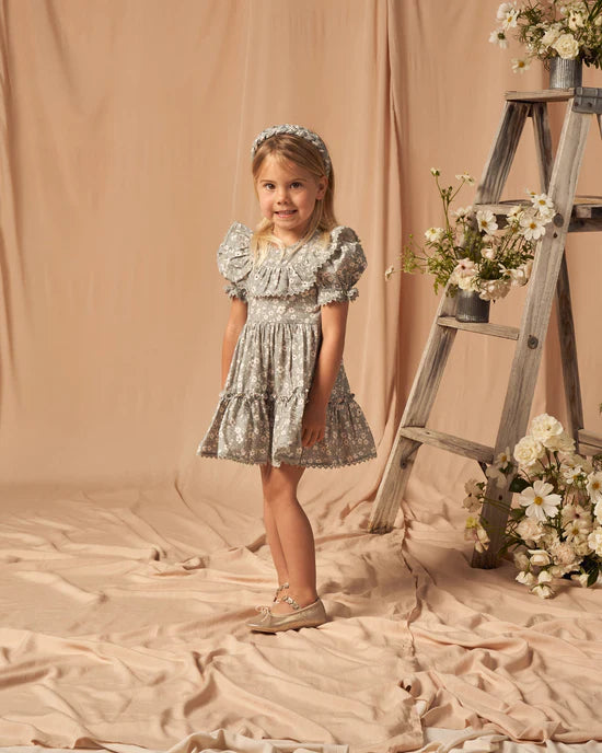 Eva Dress Sky Floral
