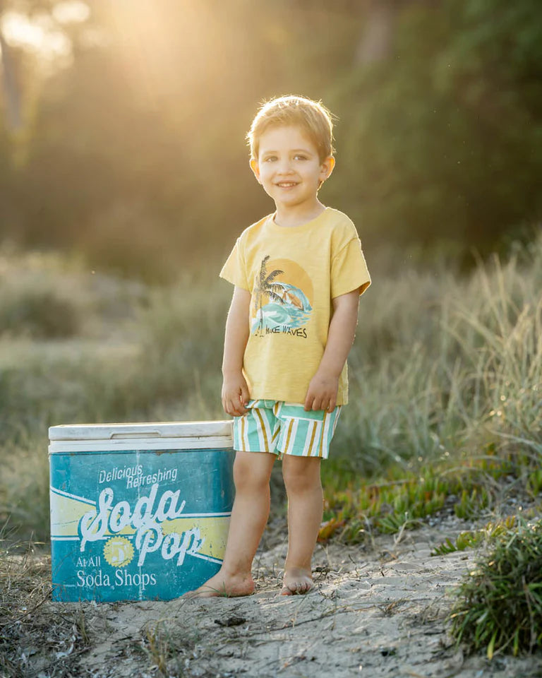 SURFS UP STRIPE SHORTS