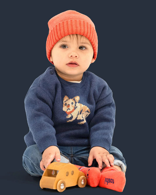Organic pullover storytime - Frenchie