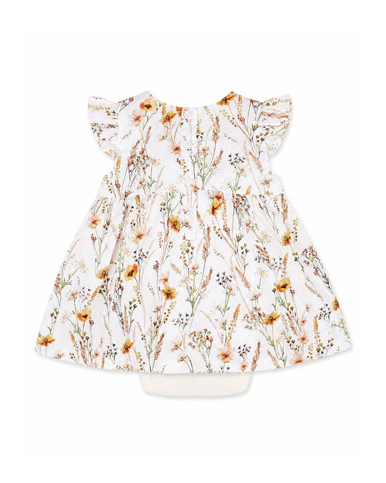 TAYLOR OVERLAY DRESS