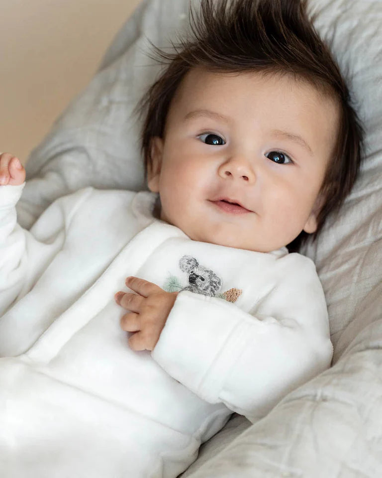 CHARLIE KOALA VELOUR ZIP ONESIE