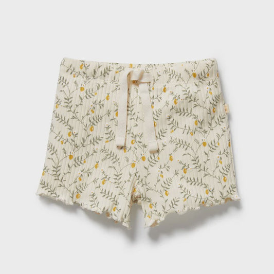 Lemon Leaf Organic Short