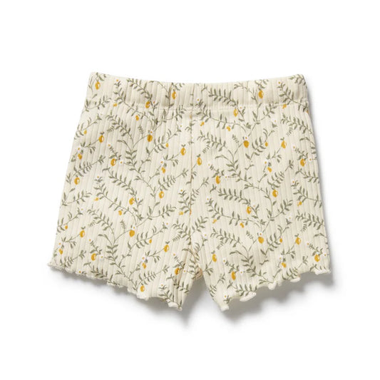 Lemon Leaf Organic Short