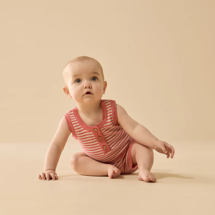 Strawberry Swirl Organic Knitted Stripe Set