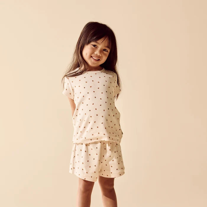 Little Lady Bugs Organic Short Sleeved Pyjamas