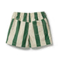 Lagoon Stripe Swim Board Short