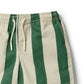 Lagoon Stripe Swim Board Short