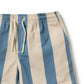 Ocean Stripe Swim Board Short