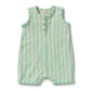 Seafoam Stripe Organic Terry Growsuit