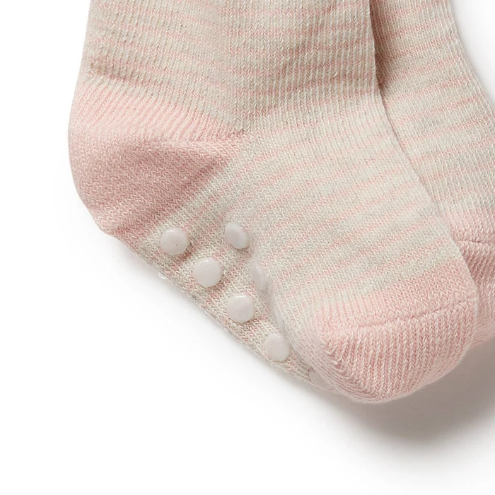 3 Pack Baby Socks | Cantaloupe