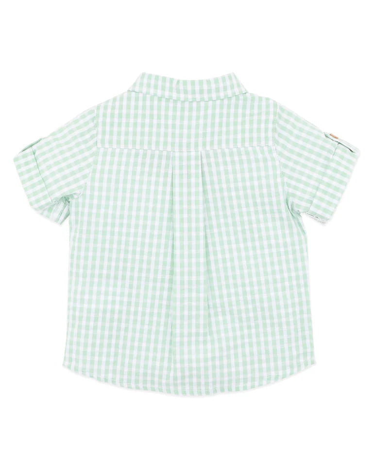 ROMAN GREEN CHECK SS SHIRT