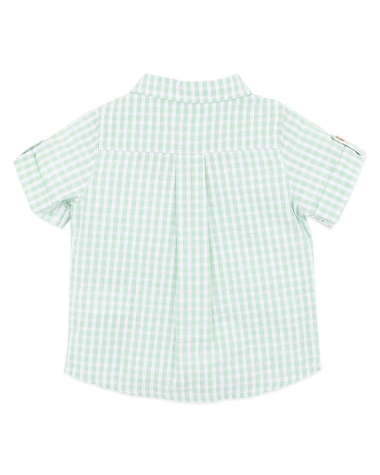 ROMAN GREEN CHECK SS SHIRT