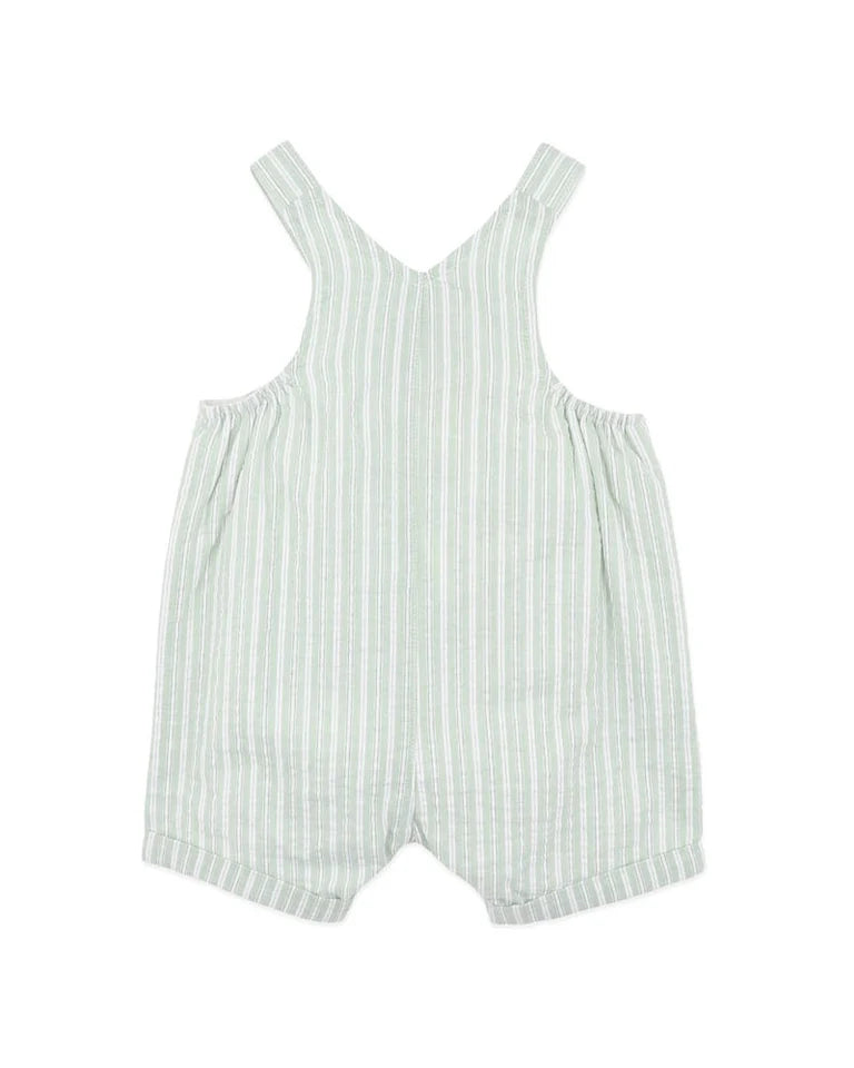 EVAN GREEN STRIPE OVERALLS