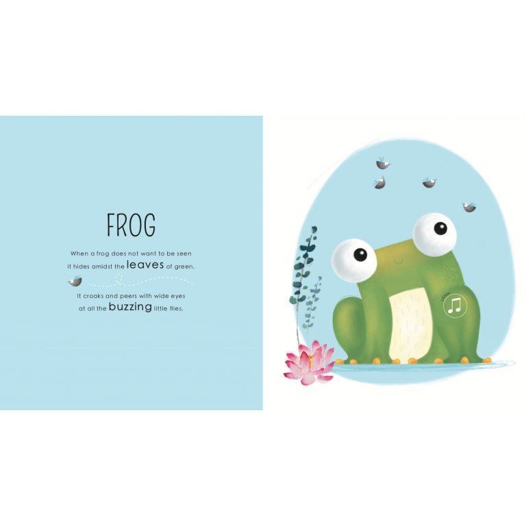 Sassi Sound Book - Who Lives in the Jungle