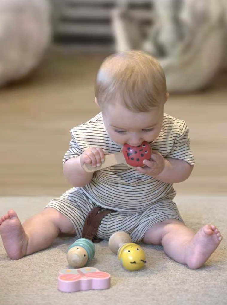 Spring Animals Musical Instrument Set