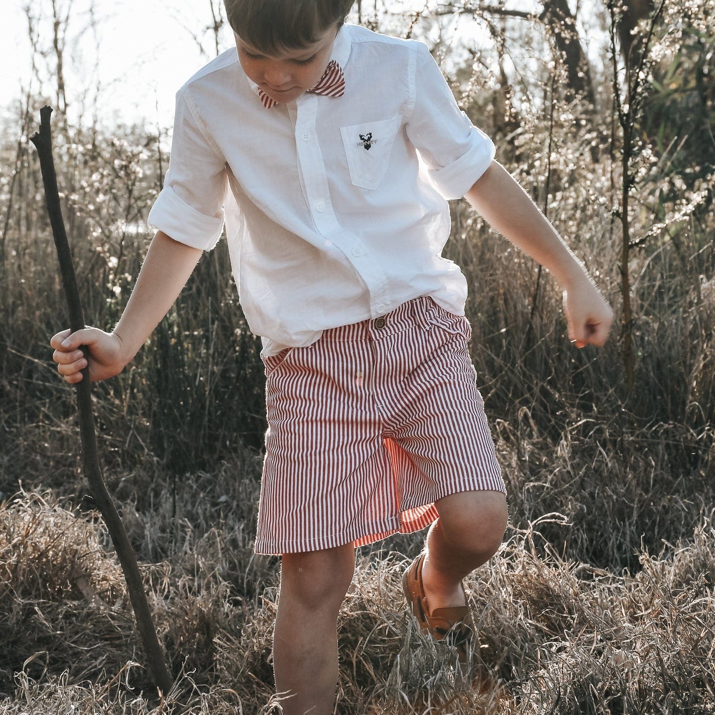Boys Dress Shorts Red Pinstripe Willow & Reed