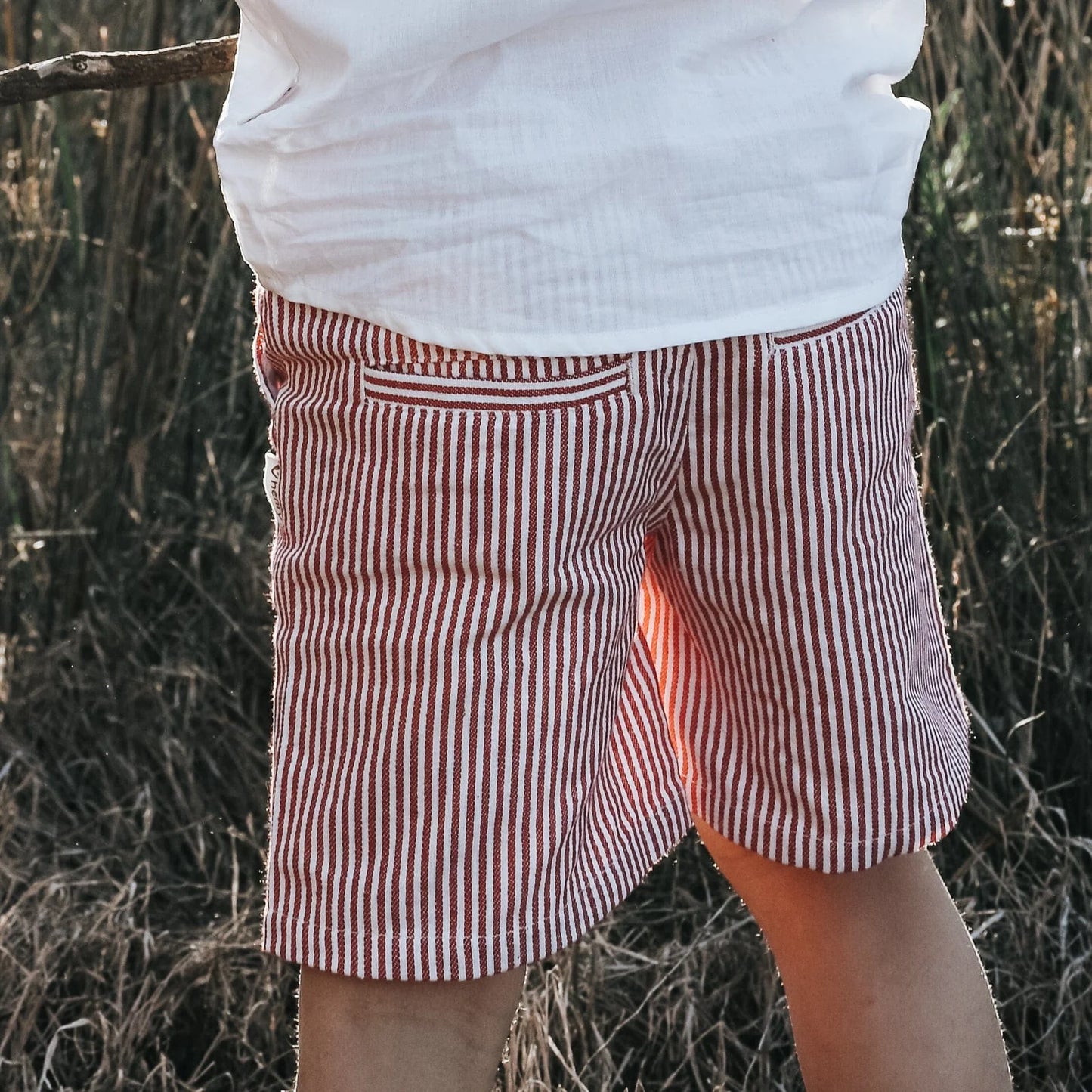 Boys Dress Shorts Red Pinstripe Willow & Reed