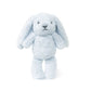 Little Baxter Bunny Soft Toy