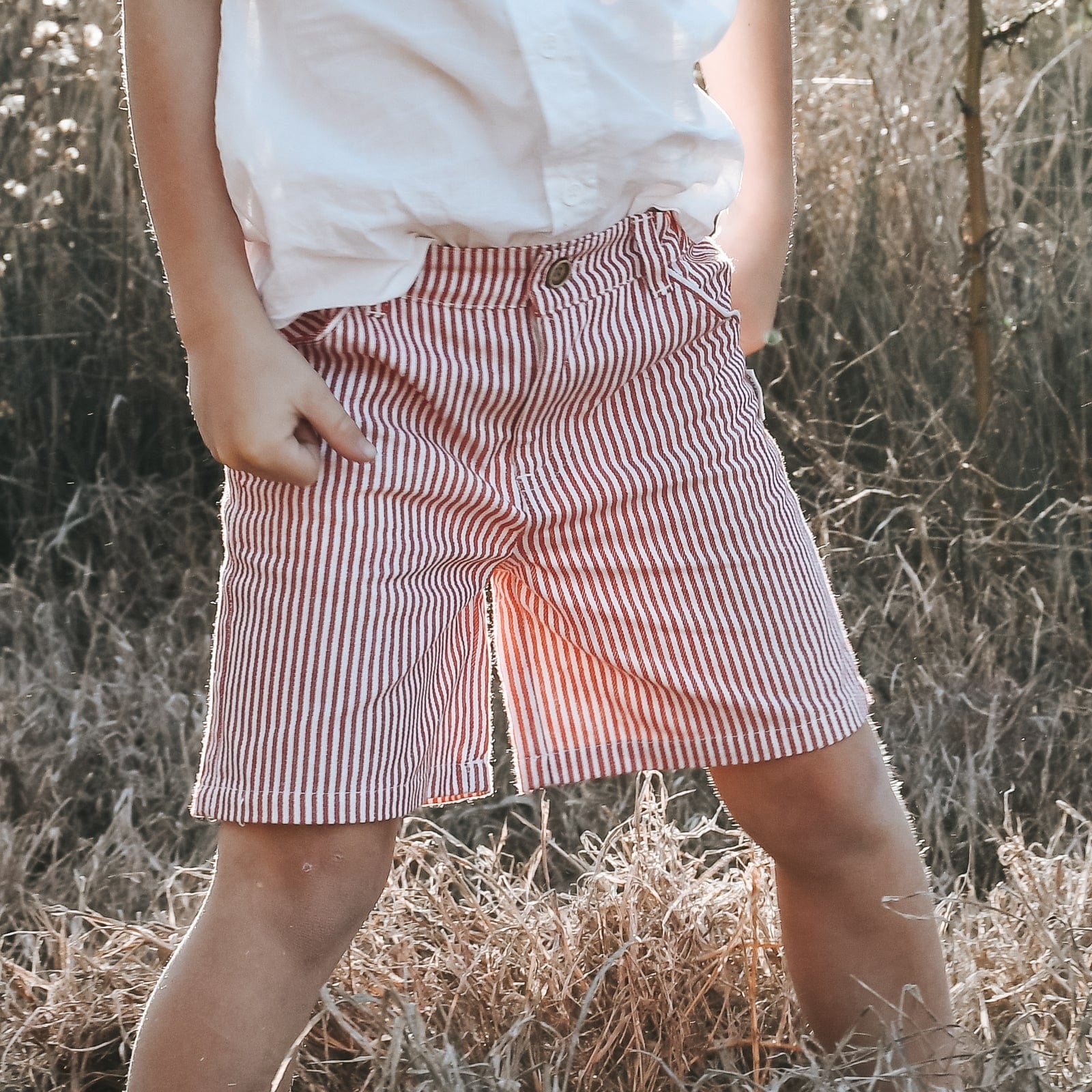 Boys Dress Shorts Red Pinstripe Willow & Reed